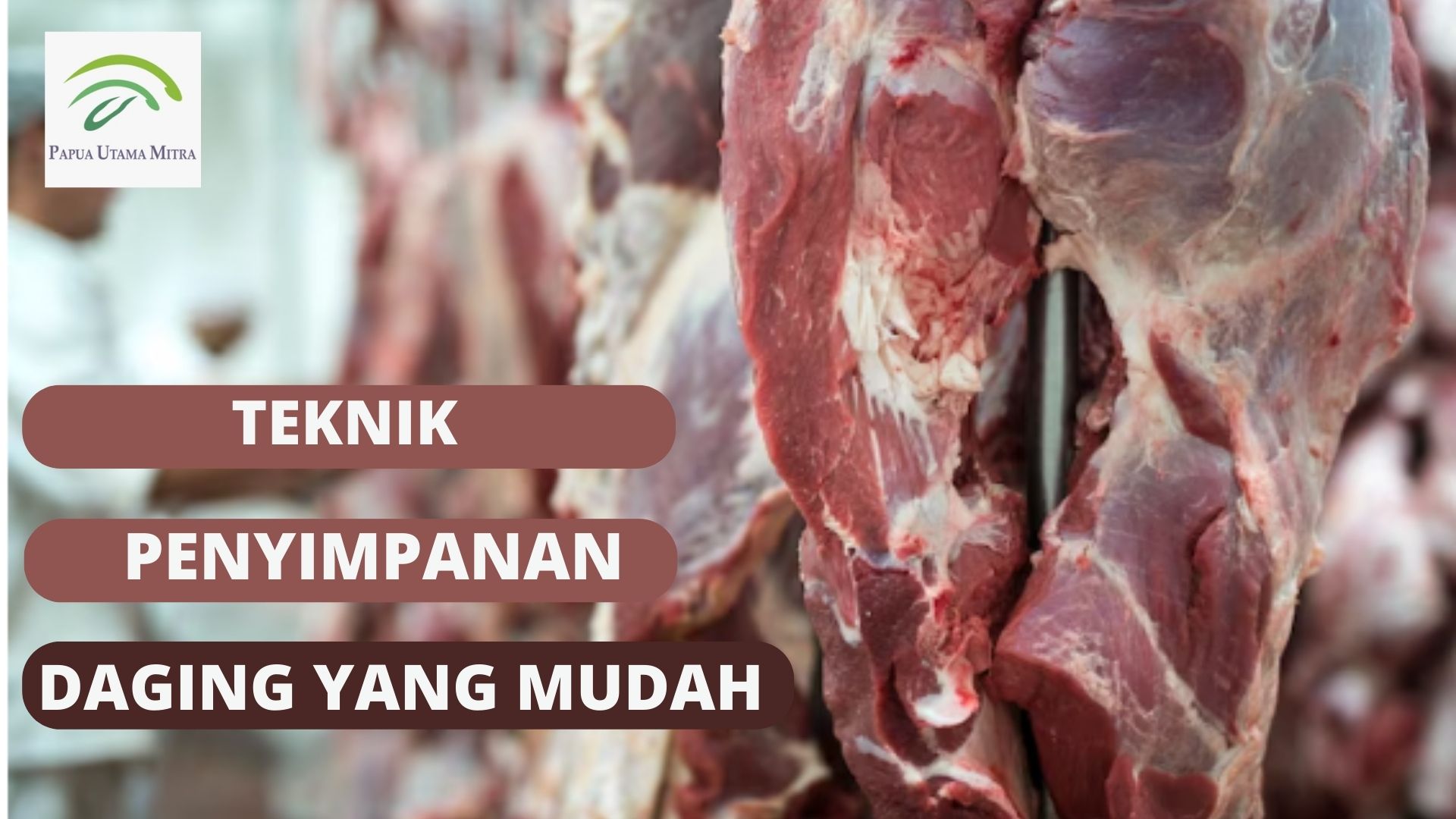 Teknik Penyimpanan Daging  yang Mudah